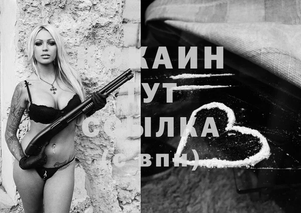 гидра Абаза