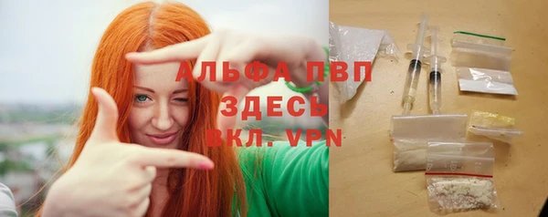 гидра Абаза