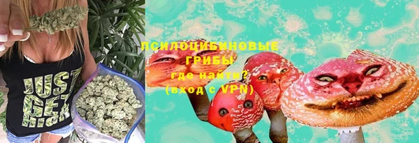apvp Михайловск
